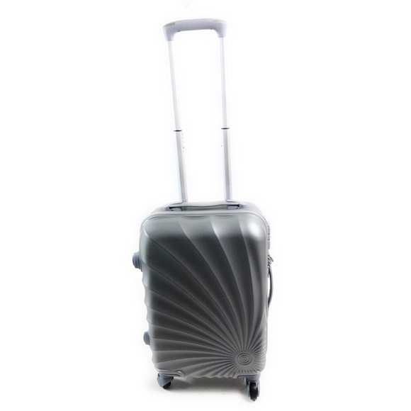 Handbags - Hardside Spinner Luggage 20-Inch Carry On (Silver)